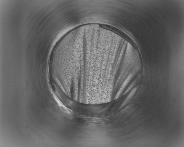 X0000076091144200610202059