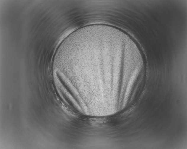 X0000076091145200610202059