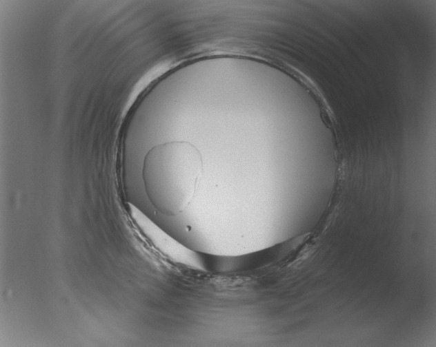 X0000076091146200610202059