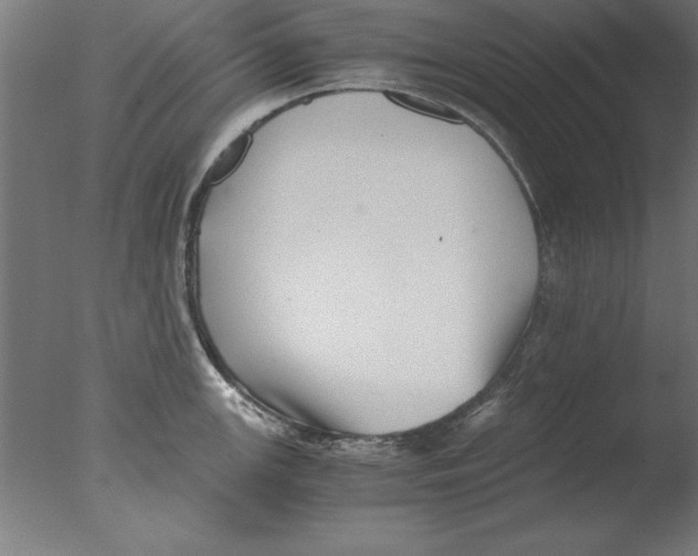 X0000076091147200610202059