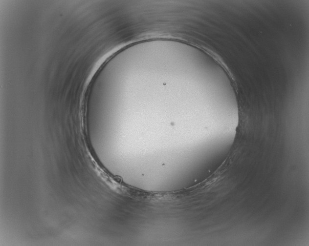 X0000076091148200610202059