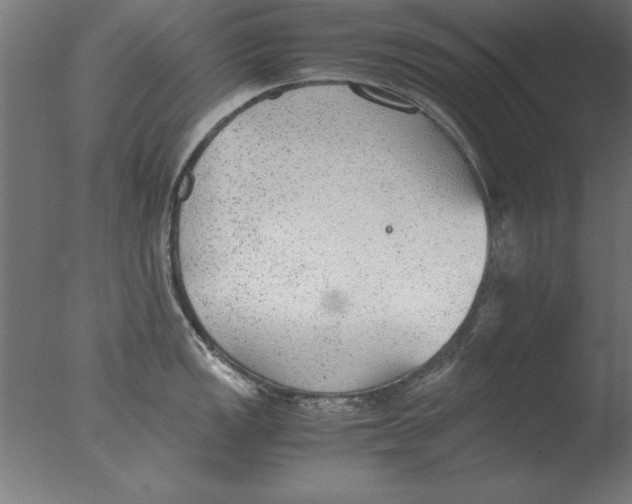 X0000076091149200610202059