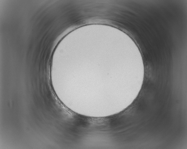 X0000076091150200610202059