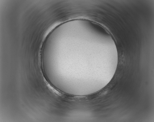 X0000076091151200610202059