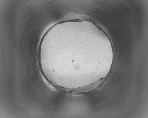 X0000076091152200610202059