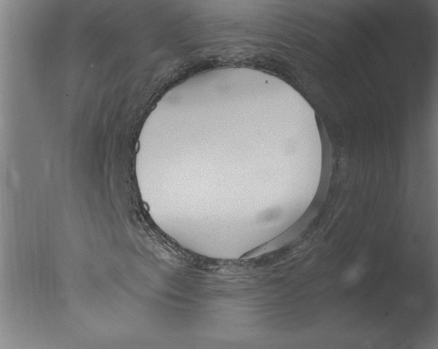 X0000076091153200610202059