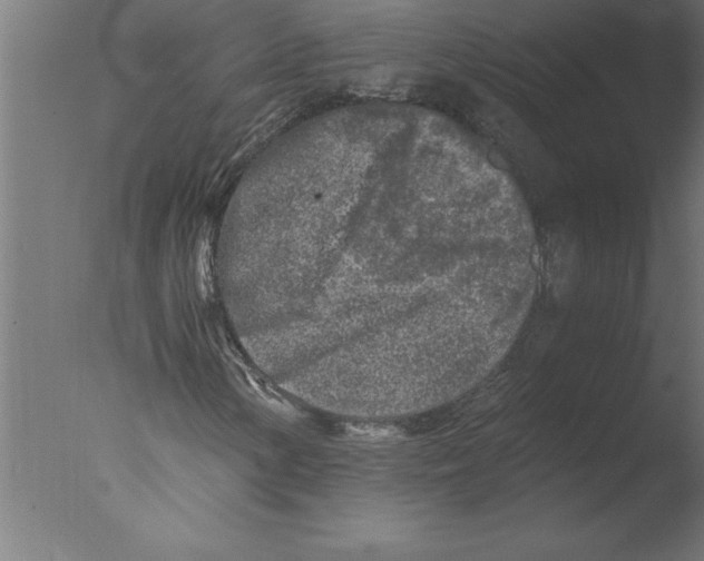 X0000076091154200610202059