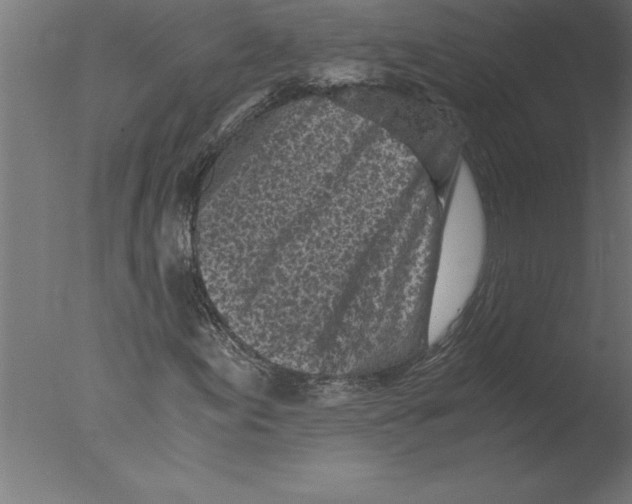 X0000076091155200610202059