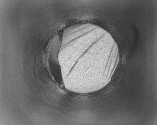 X0000076091156200610202059