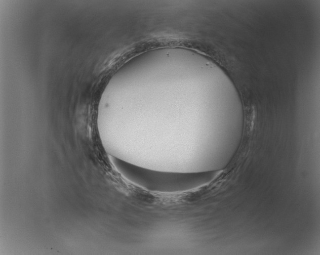 X0000076091157200610202059