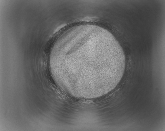 X0000076091158200610202059