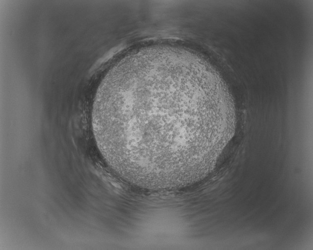 X0000076091159200610202059