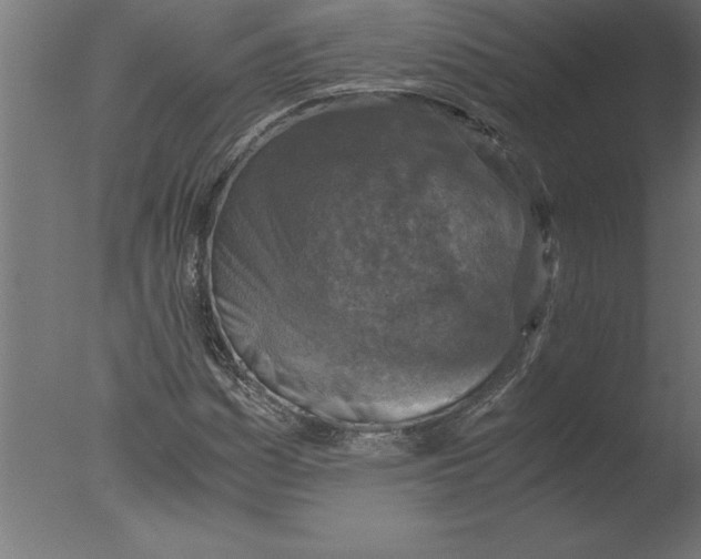 X0000076091161200610202059