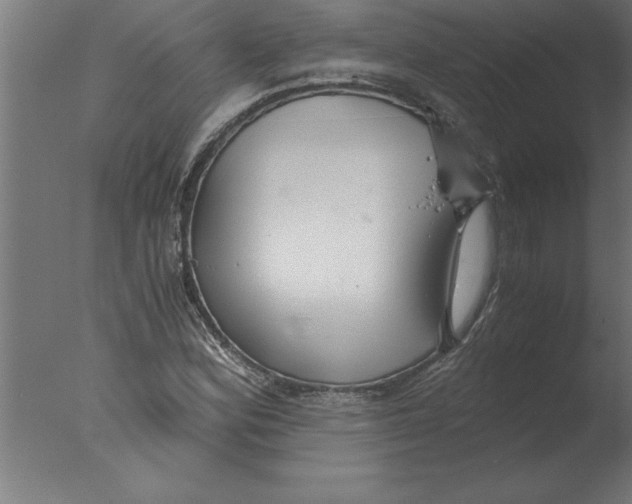 X0000076091164200610202058