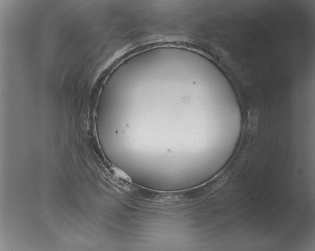 X0000076091165200610202058