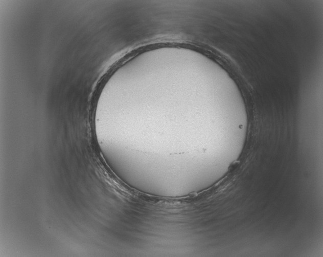 X0000076091168200610202058