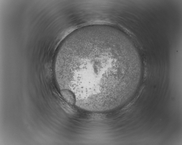 X0000076091170200610202058