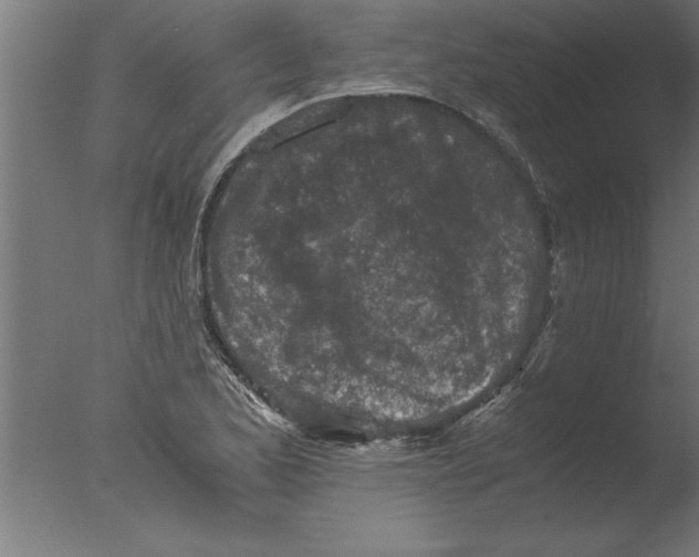 X0000076091173200610202058