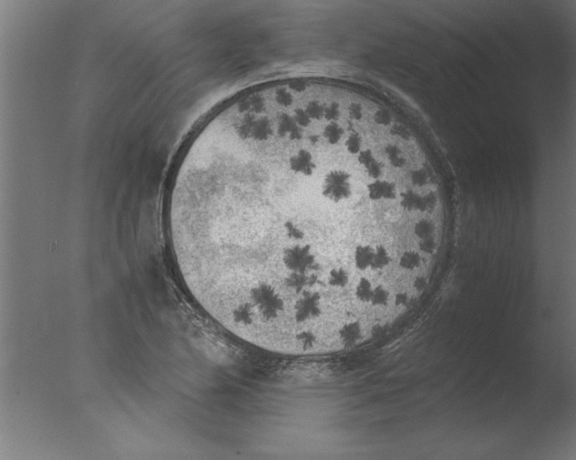 X0000076091174200610202058