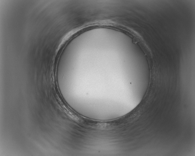 X0000076091176200610202058