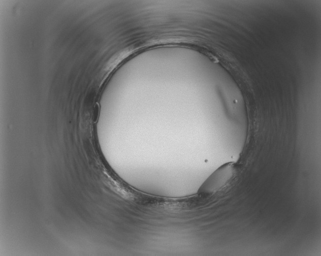 X0000076091177200610202058