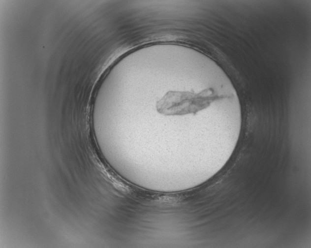 X0000076091178200610202058