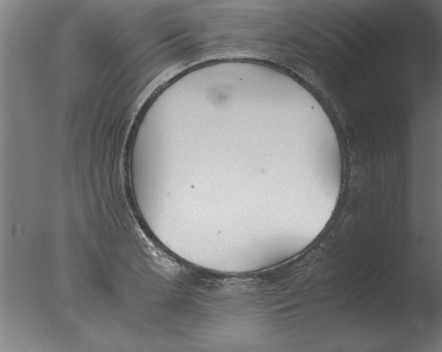 X0000076091181200610202058