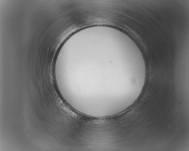 X0000076091182200610202058