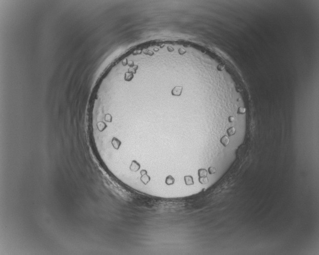 X0000076091183200610202058