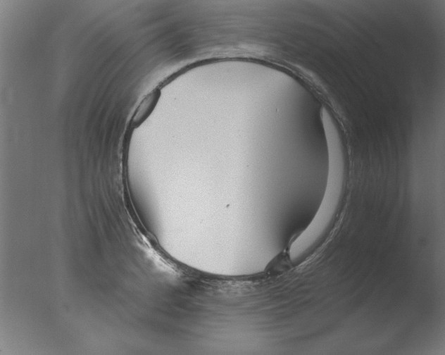 X0000076091184200610202058