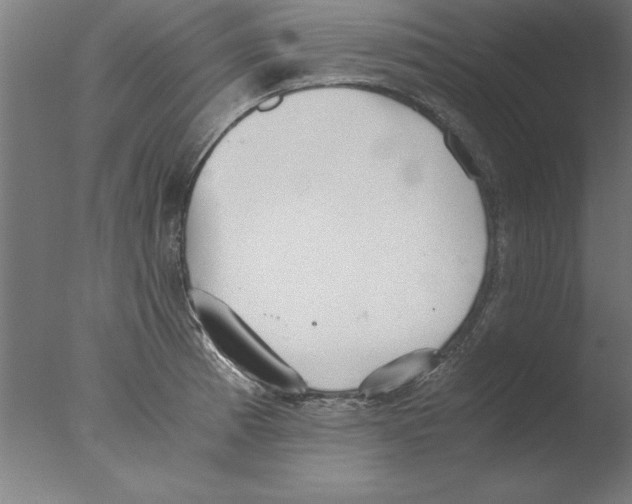 X0000076091185200610202058