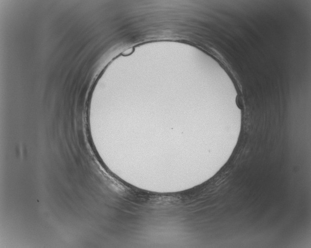 X0000076091187200610202058