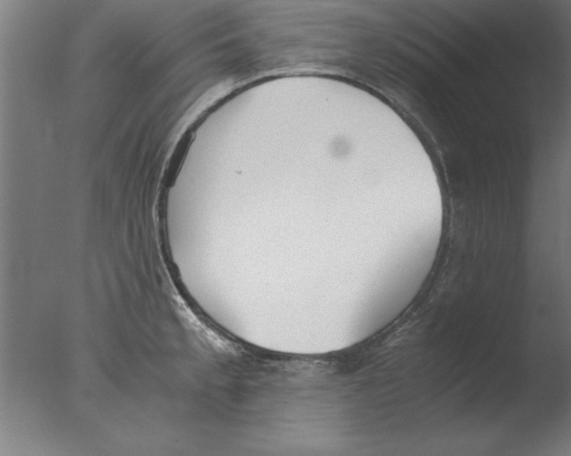 X0000076091189200610202058