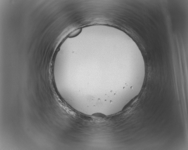 X0000076091190200610202058