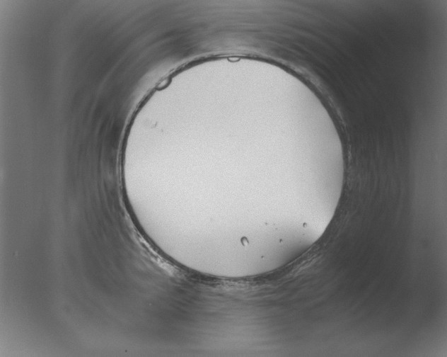 X0000076091191200610202058