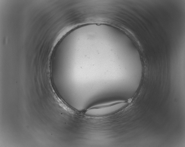 X0000076091192200610202058