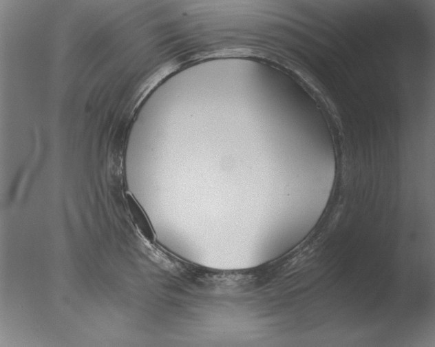 X0000076091193200610202058