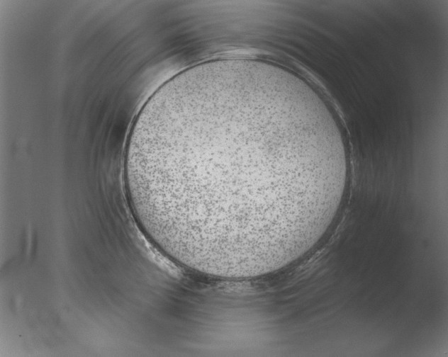 X0000076091194200610202058