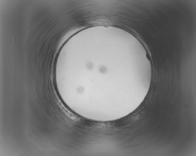 X0000076091195200610202058