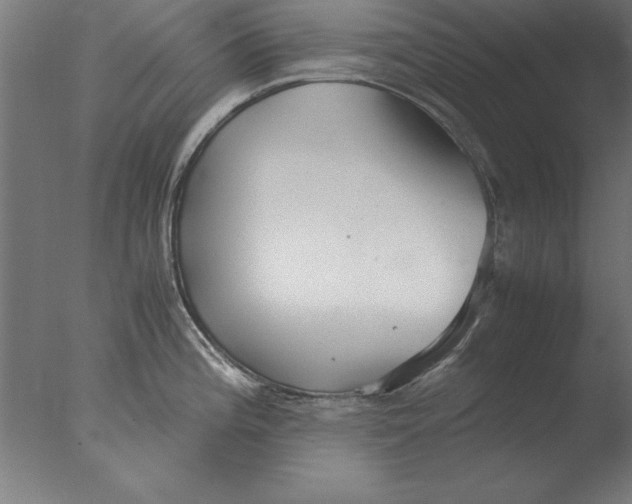 X0000076091196200610202058