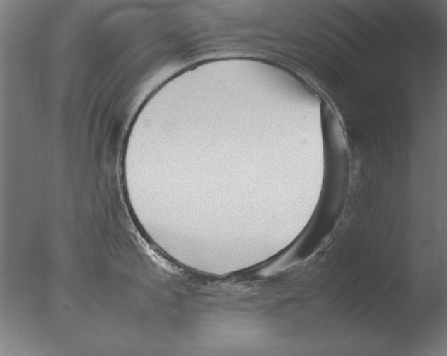 X0000076091197200610202058