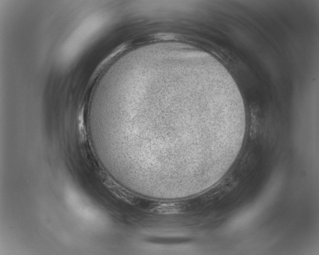 X0000076091198200610202058