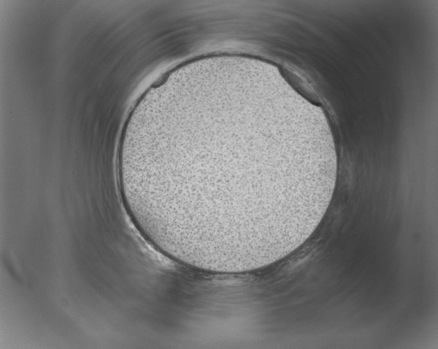 X0000076091199200610202058