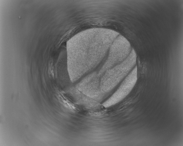 X0000076091202200610202057