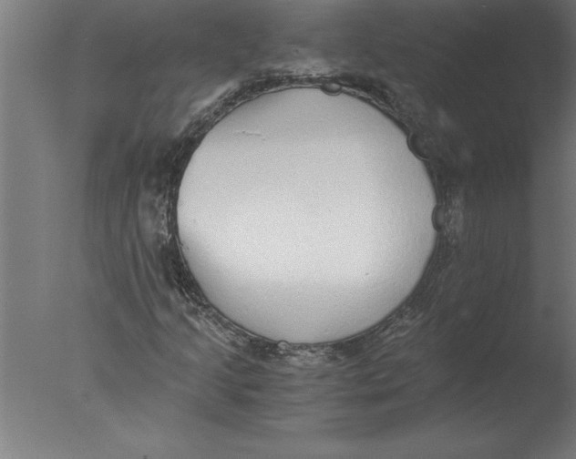 X0000076091205200610202057