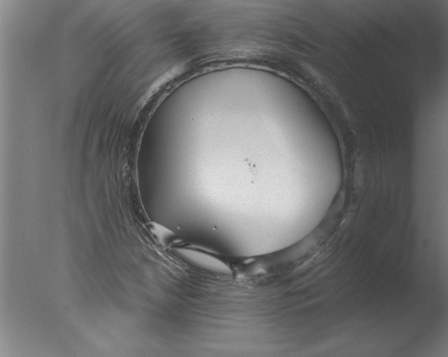 X0000076091210200610202057