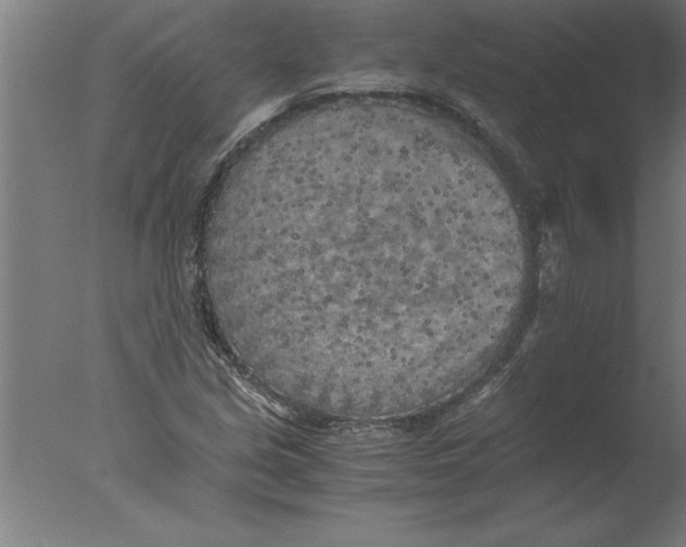 X0000076091213200610202057