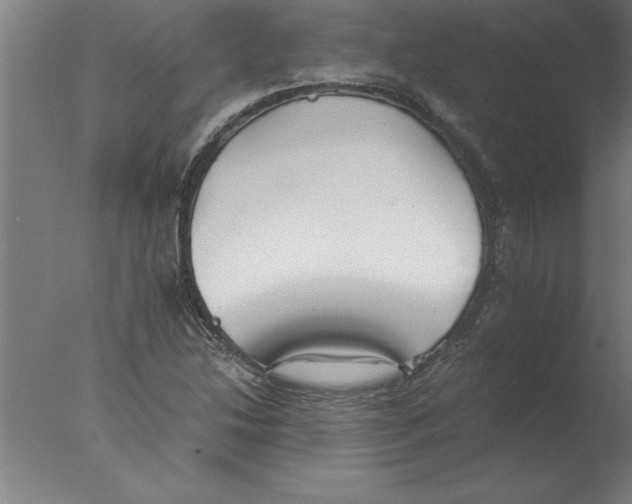 X0000076091214200610202057