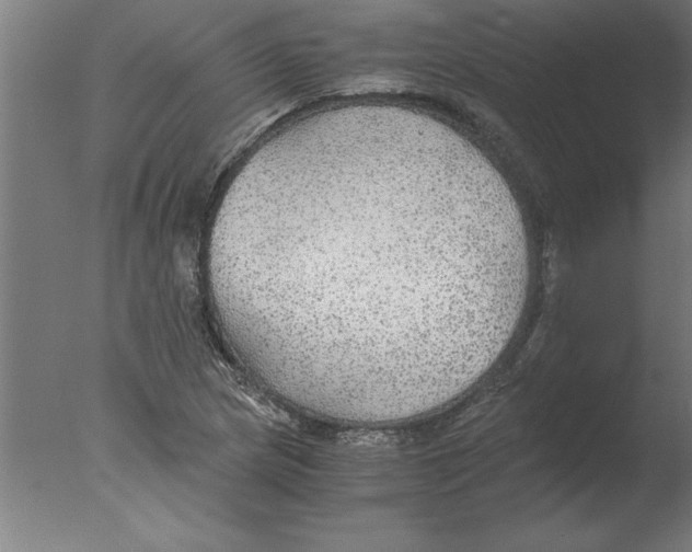 X0000076091217200610202057