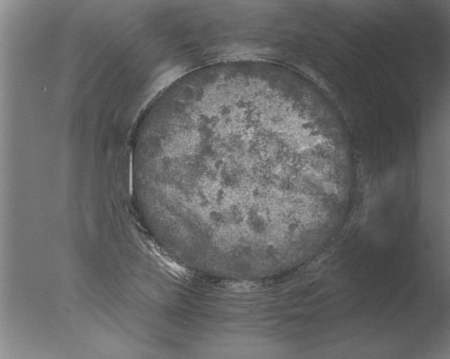 X0000076091219200610202057